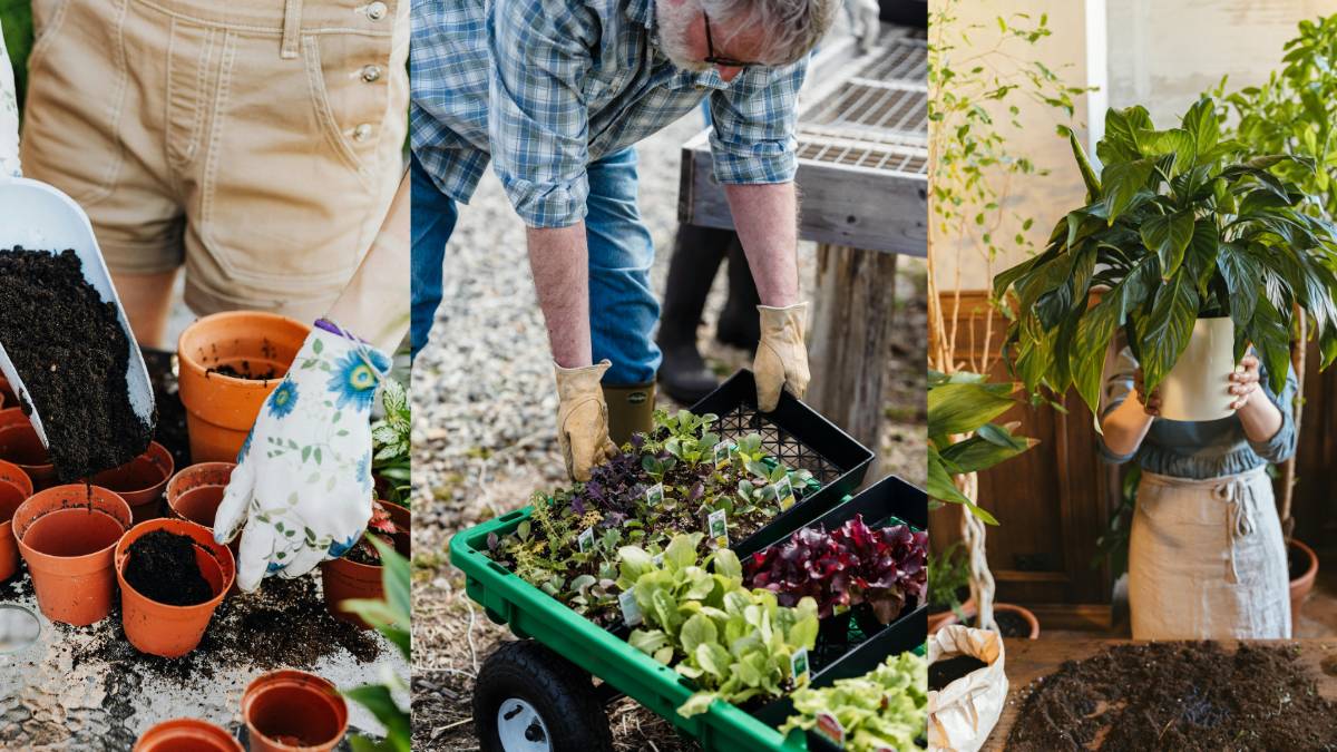 Creating Your Dream Garden Tips and Tricks for Every Season (1)