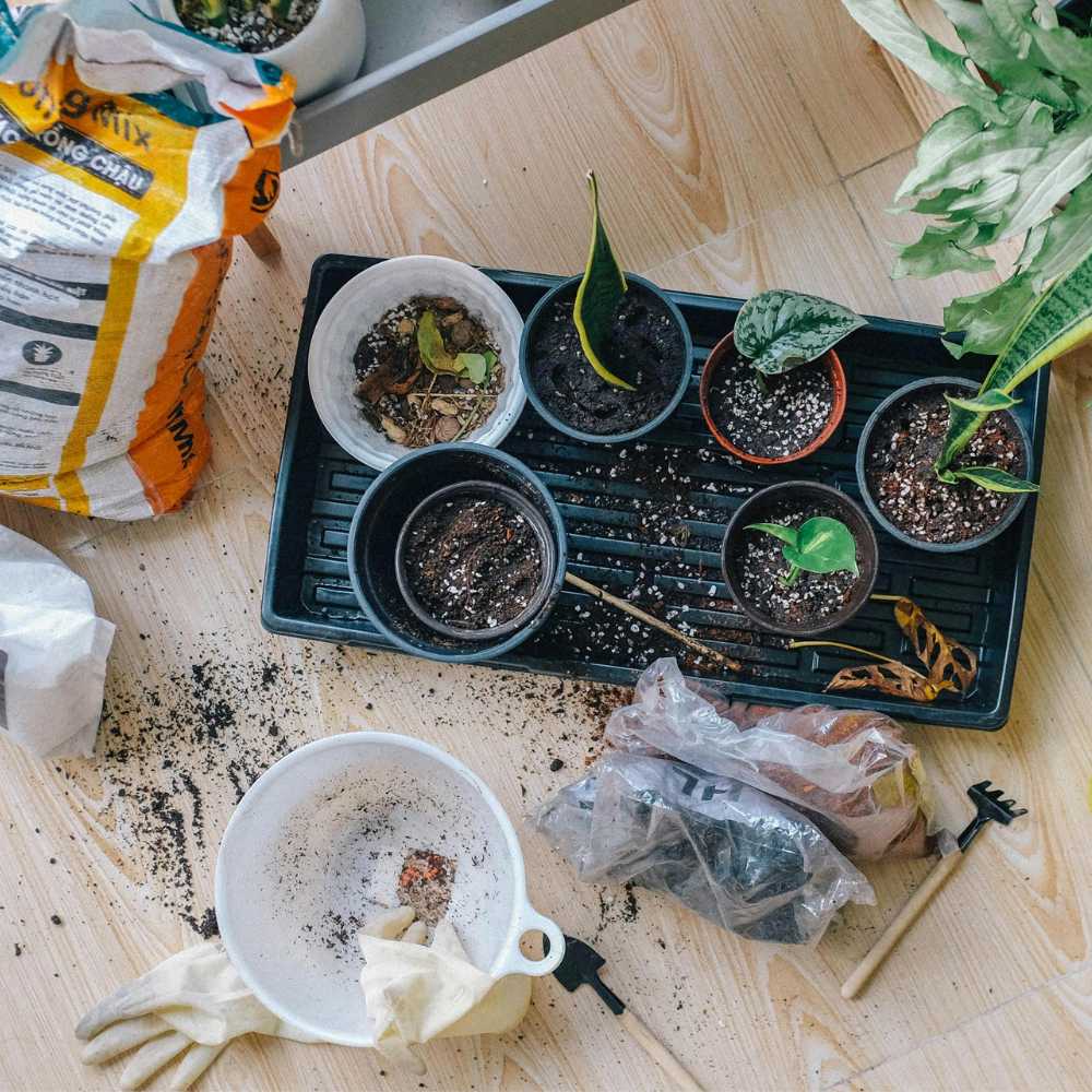 garden maintenance