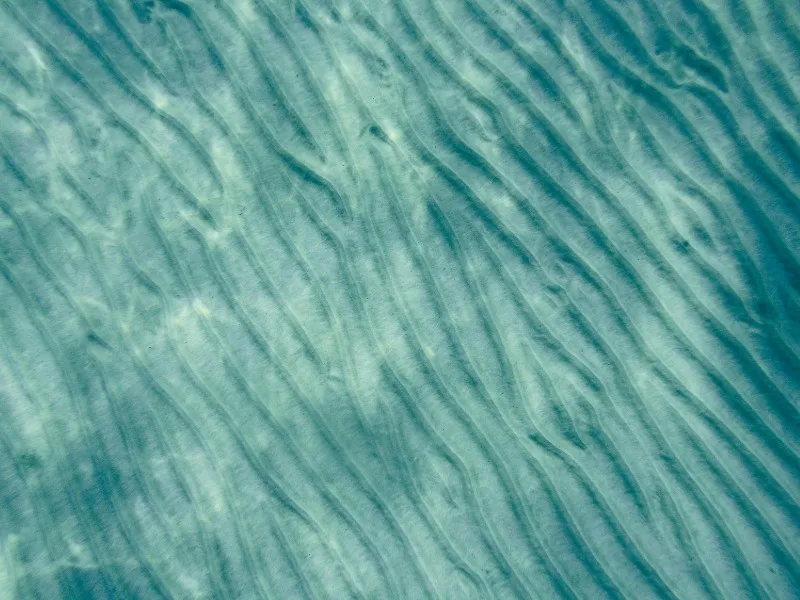 Sea-Inspired Wall Art