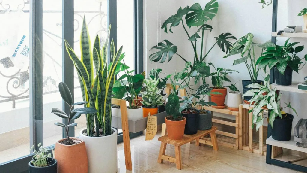 Container Gardening The Best Plants for Small Balconies